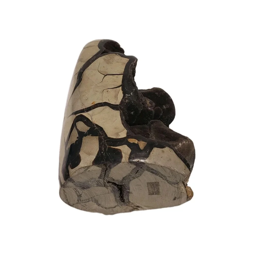 Natural Dragon Septarian Geode Freeform Quartz Cluster Crystal Healing - Picture 3 of 12